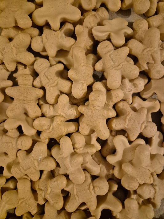 Pain d’épice goût biscuit (100gr)