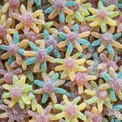 Pieuvre sucrée (100gr)